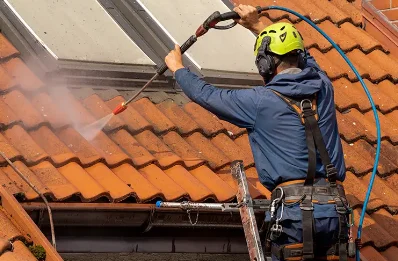 Démoussage et hydrofuge de toiture à Cély